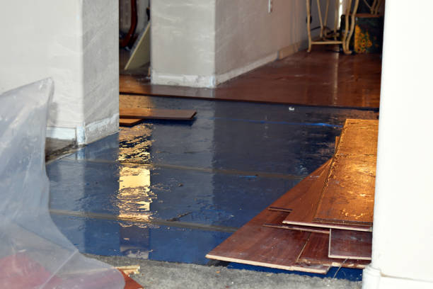 Professional Water Damage Restoration technician working in Waverly, OH